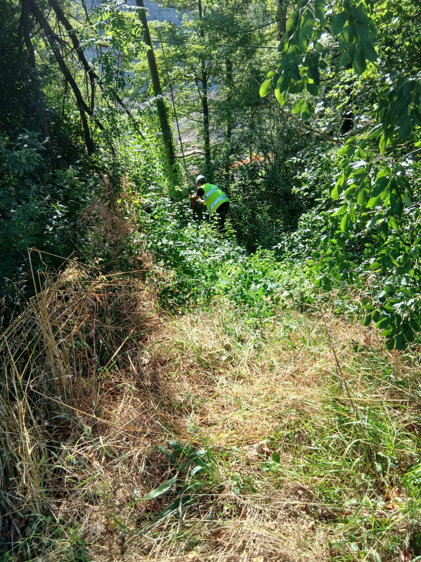 Rilievo del territorio in un'area vegetata e complessa