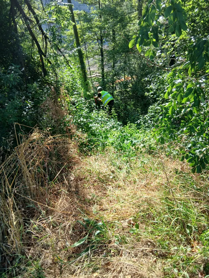 Tecnico durante un rilievo in un'area con fitta vegetazione